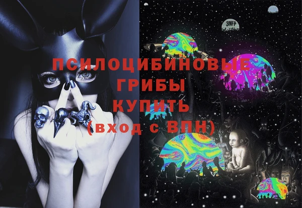 Альфа ПВП Белокуриха