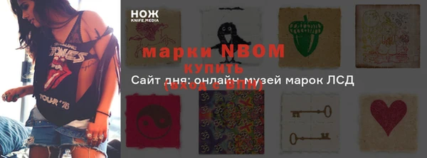 Альфа ПВП Белокуриха