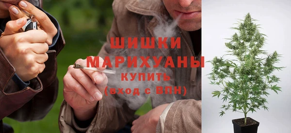Альфа ПВП Белокуриха