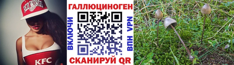 Псилоцибиновые грибы Psilocybe  Володарск 